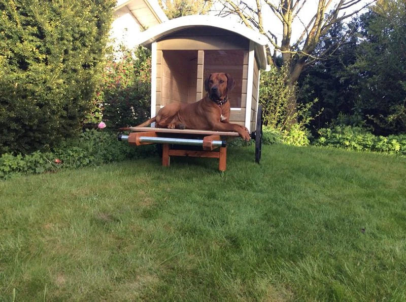 Doggy Home – mobil må-bra-plats för hundar och deras människor