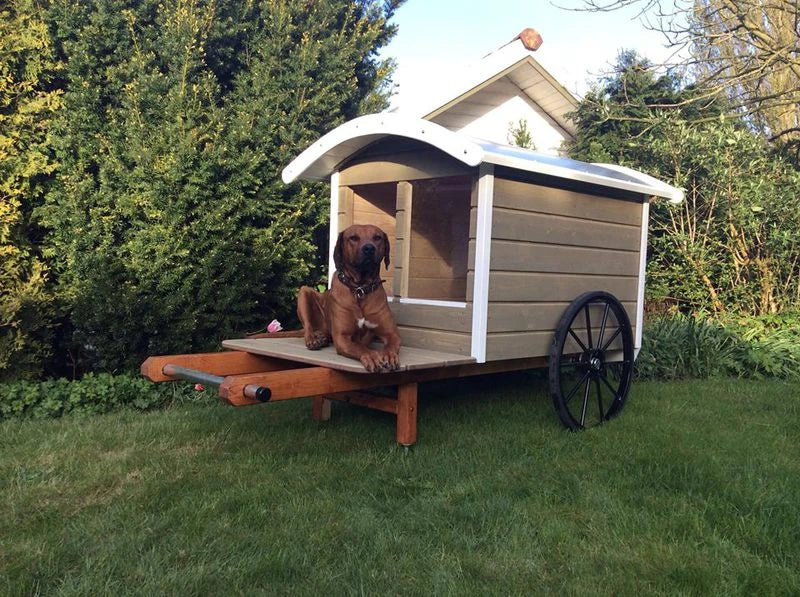 Doggy Home – mobil må-bra-plats för hundar och deras människor